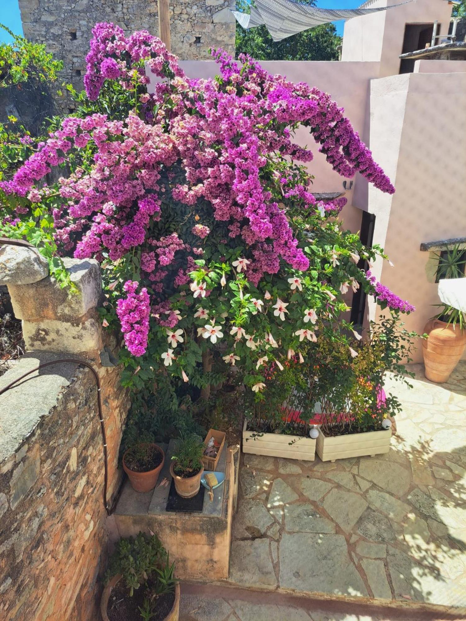 Holiday home Aba