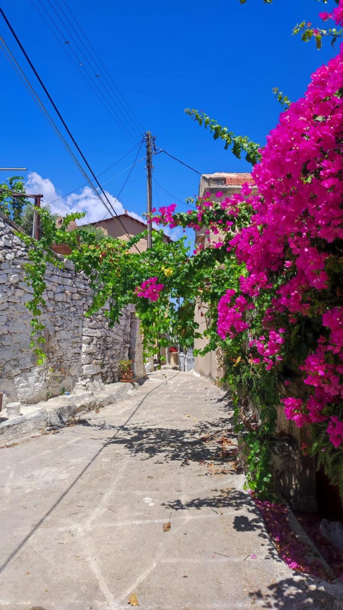 Aba Holiday home *