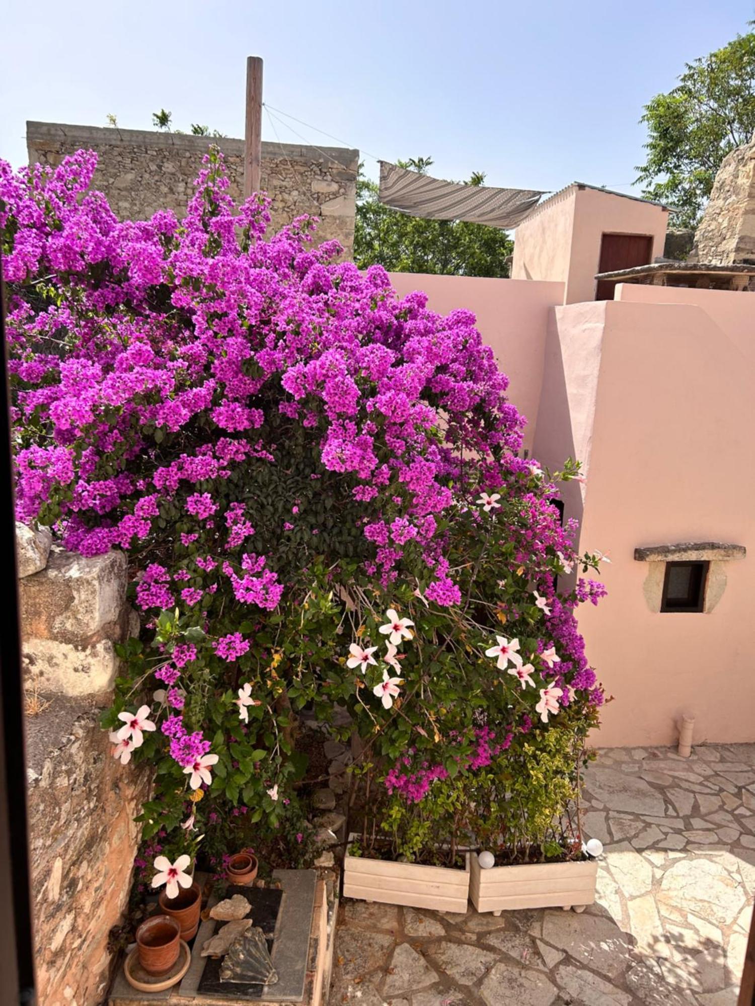 Aba Plaka (Apokoronas)